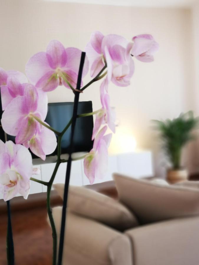 So Fine - Apulian Flats Apartment บารี ภายนอก รูปภาพ